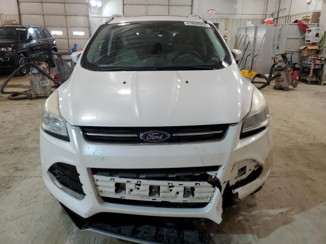 2014 Ford Escape Titanium VIN: 1FMCU0JX7EUA70202 Lot: 41656564