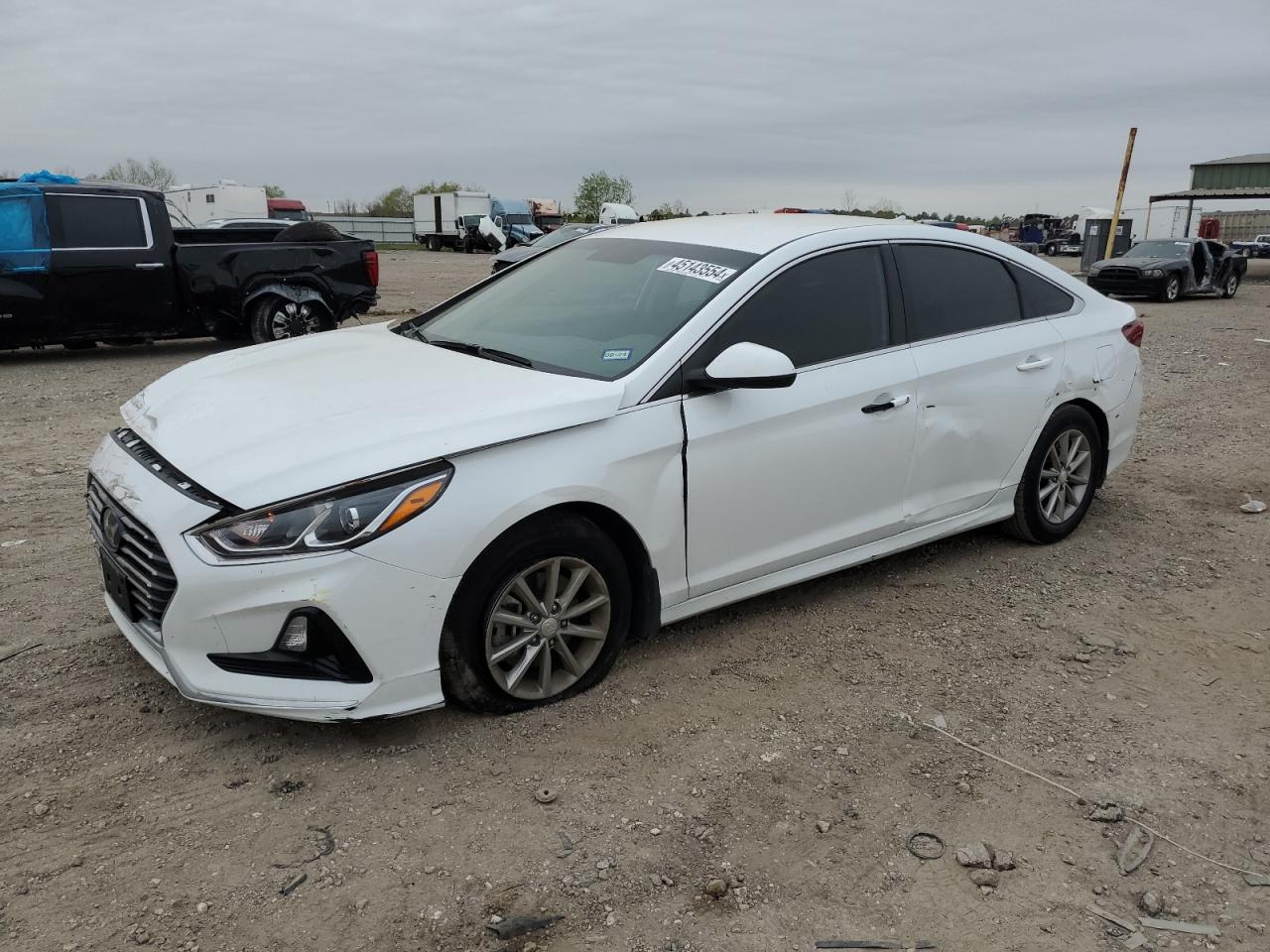 5NPE24AF0KH806629 2019 Hyundai Sonata Se