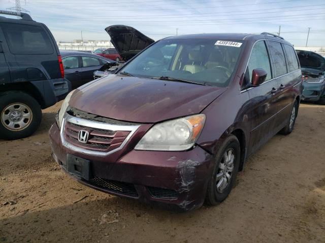 2010 Honda Odyssey Exl VIN: 5FNRL3H64AB048094 Lot: 48969944