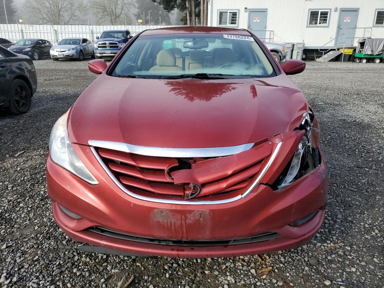 5NPEB4ACXDH739692 2013 Hyundai Sonata Gls