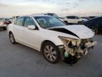 Lot #2962503807 2009 HONDA ACCORD EXL