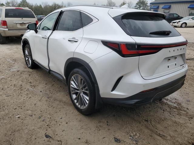 2022 LEXUS NX 350 2T2HGCEZ5NC006876