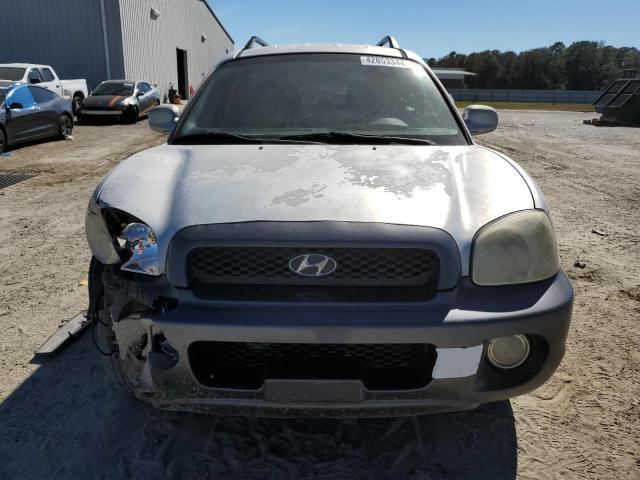 2004 Hyundai Santa Fe Gls VIN: KM8SC13D14U732619 Lot: 42853344