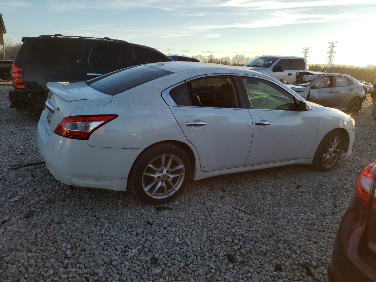 Lot #2524292048 2011 NISSAN MAXIMA S