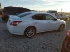 NISSAN MAXIMA S photo