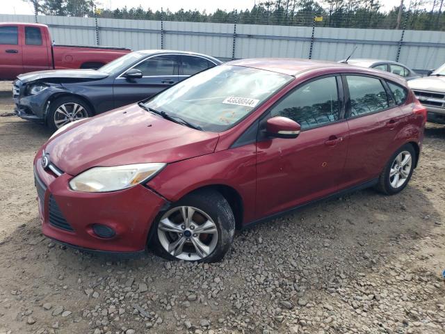 Lot #2359130913 2013 FORD FOCUS SE salvage car