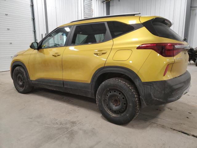 2021 Kia Seltos Lx VIN: KNDEP2AA8M7191247 Lot: 42005654