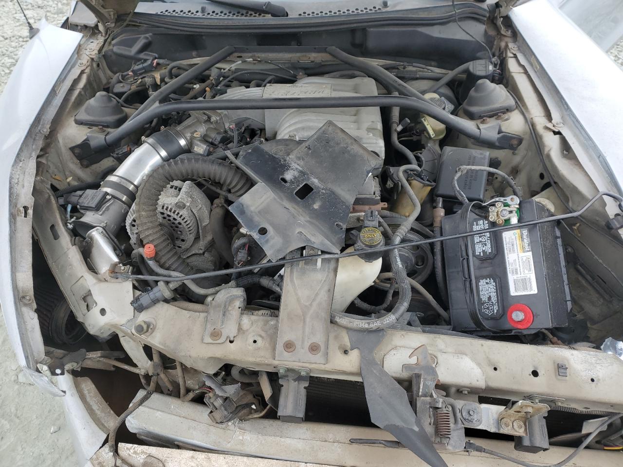 1FALP42T8RF126937 1994 Ford Mustang Gt