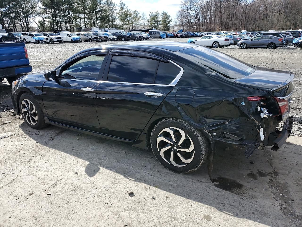 Lot #2990891311 2017 HONDA ACCORD SPO