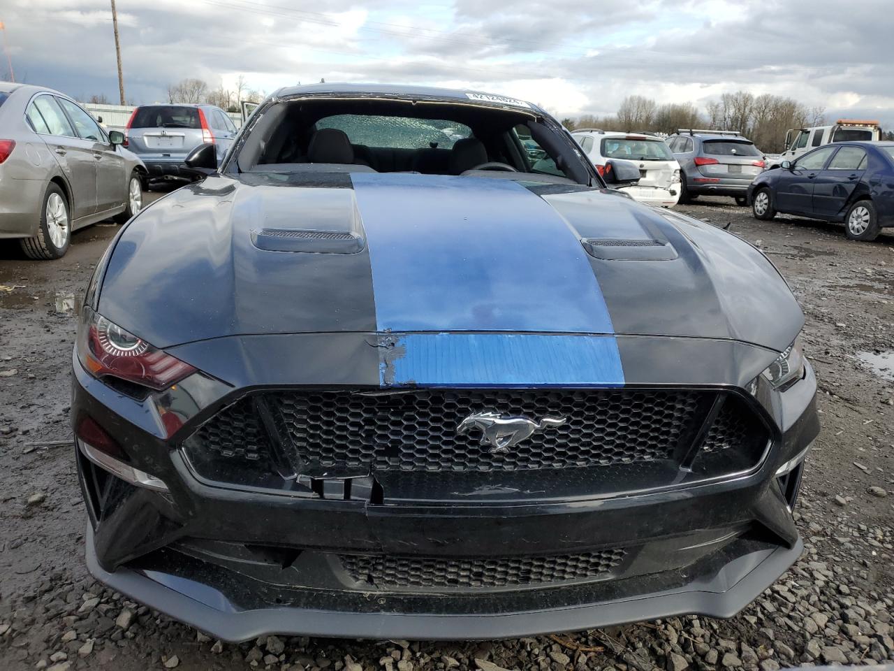 Lot #2494329977 2020 FORD MUSTANG GT
