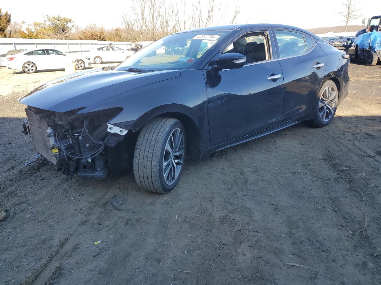 NISSAN MAXIMA SV
