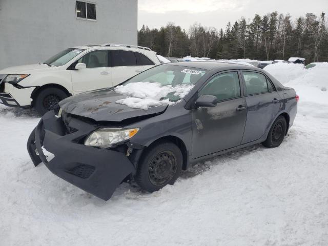 2010 TOYOTA COROLLA BA - 2T1BU4EE7AC275090