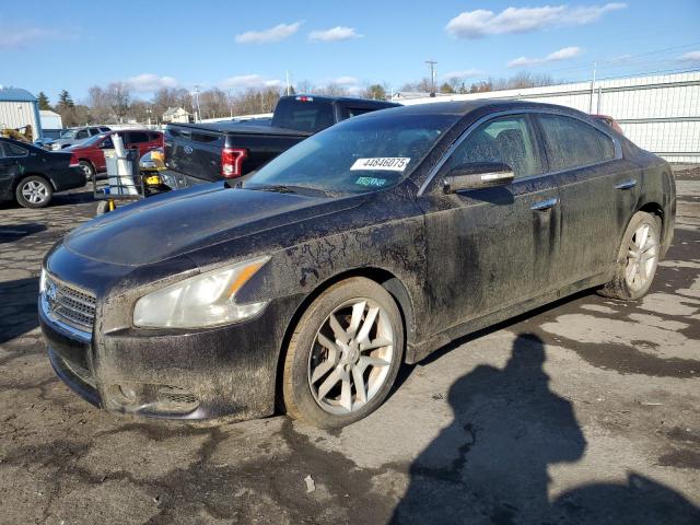 Vin: 1n4aa5ap6ac829641, lot: 44846075, nissan maxima s 2010 img_1
