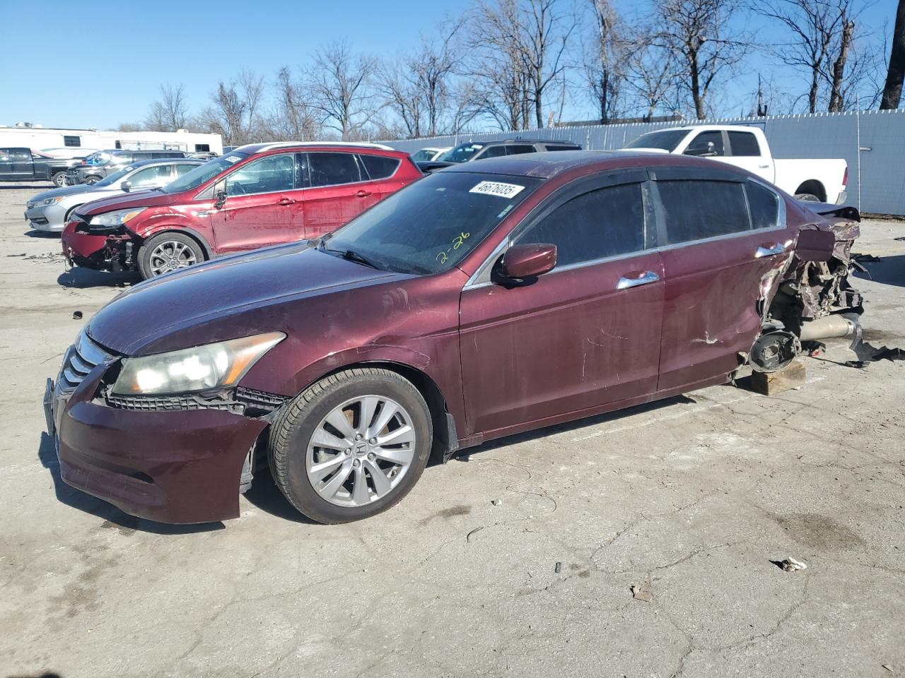 HONDA ACCORD EXL