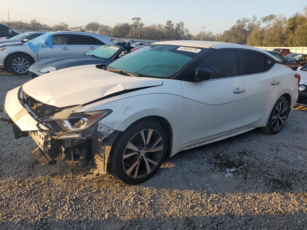  Salvage Nissan Maxima