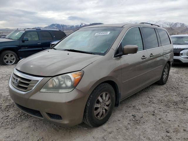 HONDA ODYSSEY EX