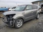 2019 KIA SOUL - KNDJN2A24K7672302