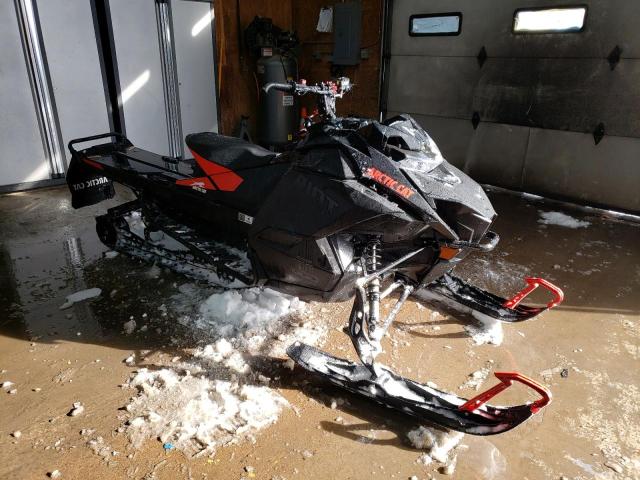 ARCTICCAT 600