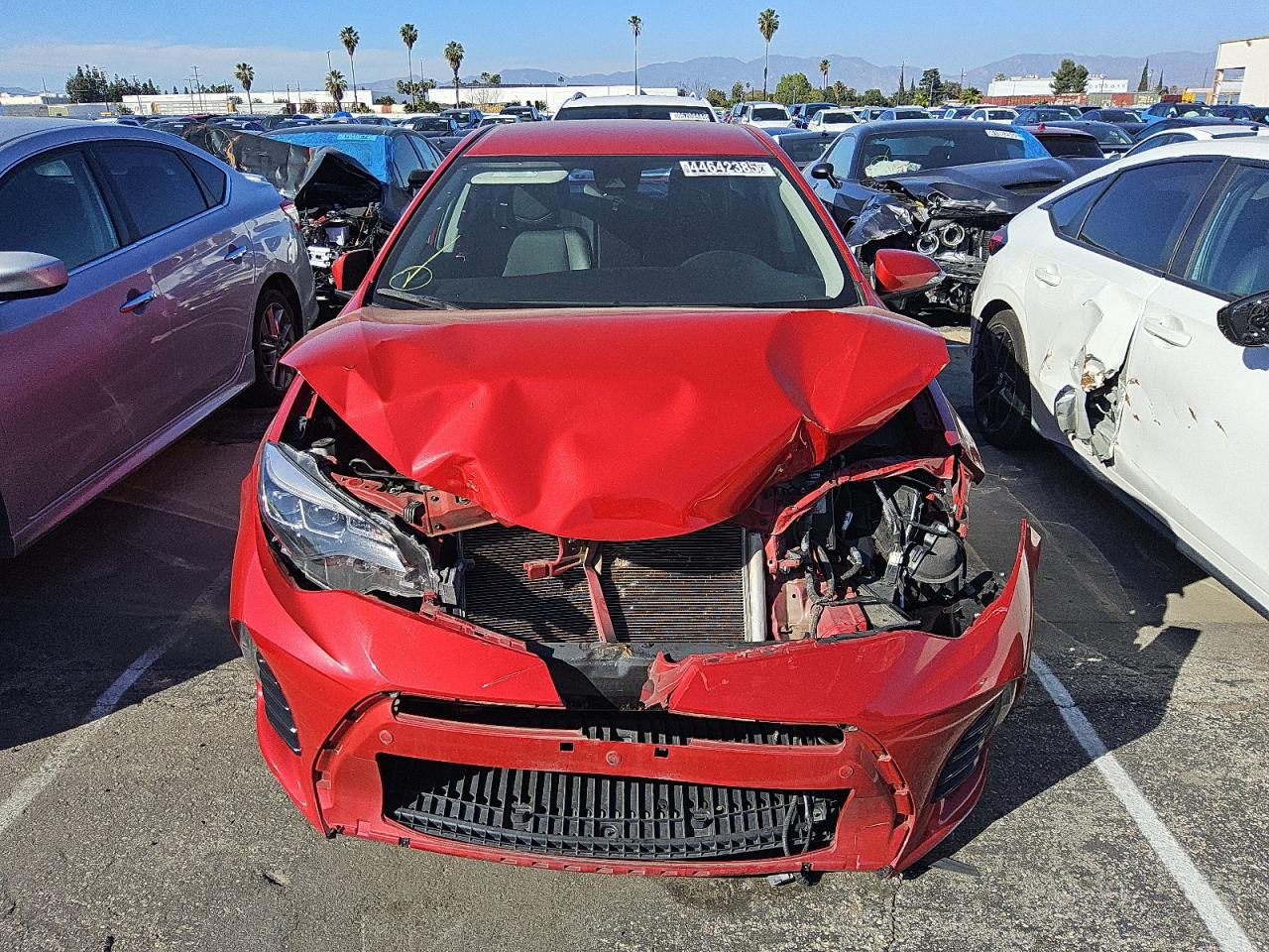 Global Auto Auctions