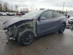 2023 TESLA MODEL Y - 7SAYGDEE4PA070526