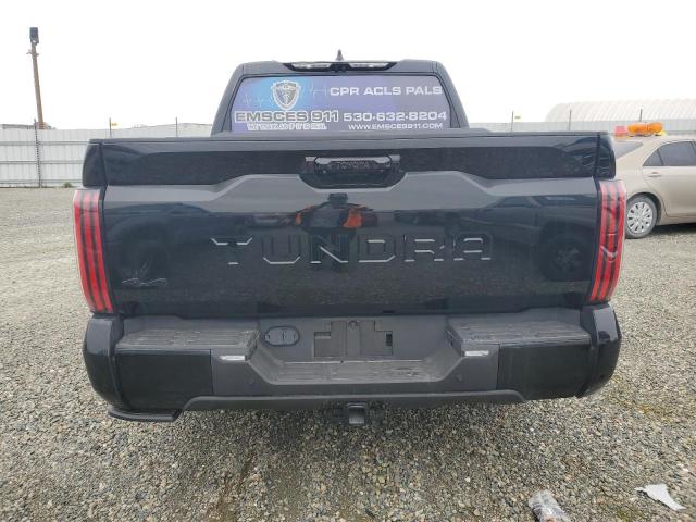 2023 TOYOTA TUNDRA PIC 5TFNA5DB2PX085582