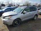 Top Destinations for Shipping Cars from the USA
