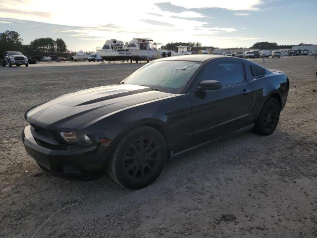 FORD MUSTANG 2011 black  gas 1ZVBP8AM2B5135178 photo #1