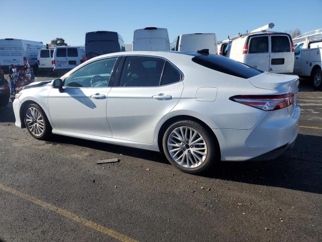 2020 TOYOTA CAMRY XLE - 4T1F11AK3LU926690