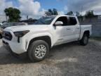 2024 TOYOTA TACOMA DOU - 3TMKB5FN8RM002978