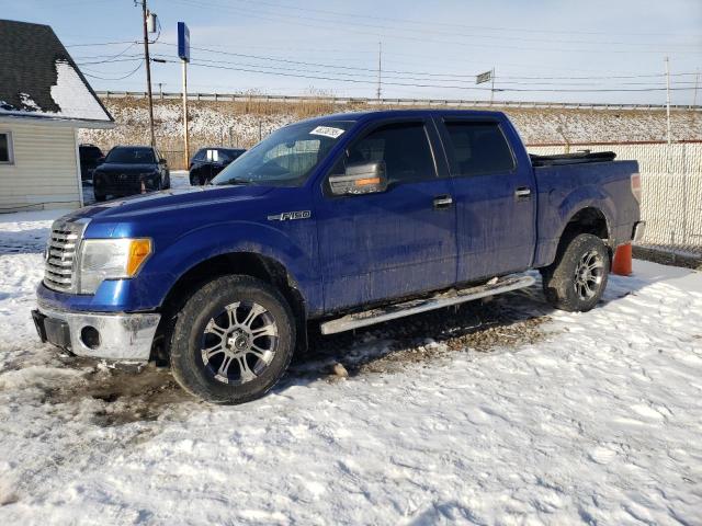 FORD F150 SUPER 2010 blue  flexible fuel 1FTFW1EV2AFD01094 photo #1