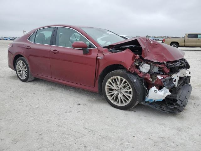 2020 TOYOTA CAMRY XLE 4T1F31AK0LU539301