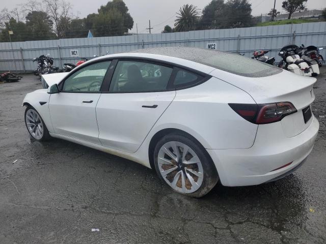 Vin: 5yj3e1eaxpf544233, lot: 44790245, tesla model 3 20232