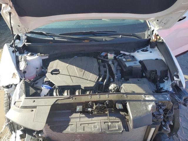 2024 HYUNDAI SANTA CRUZ - 5NTJBDDEXRH116593