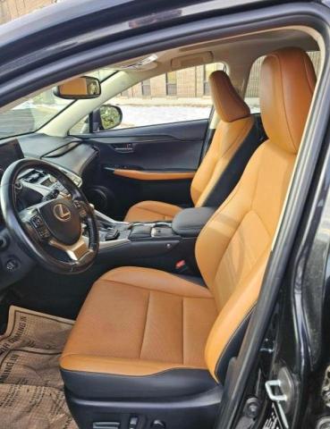 2020 LEXUS NX 300H JTJGJRDZ6L5007340