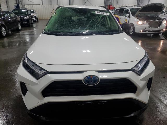 2024 TOYOTA RAV4 LE - JTMLWRFV2RD269352