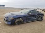 2019 FORD MUSTANG - 1FA6P8TH7K5125501