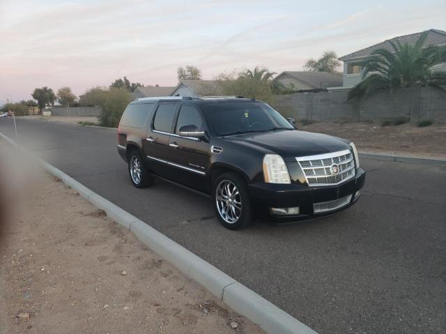 CADILLAC ESCALADE E 2010 black 4dr spor flexible fuel 1GYUKKEFXAR113109 photo #1