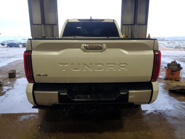 2023 TOYOTA TUNDRA CRE - 5TFJA5EC8PX014117