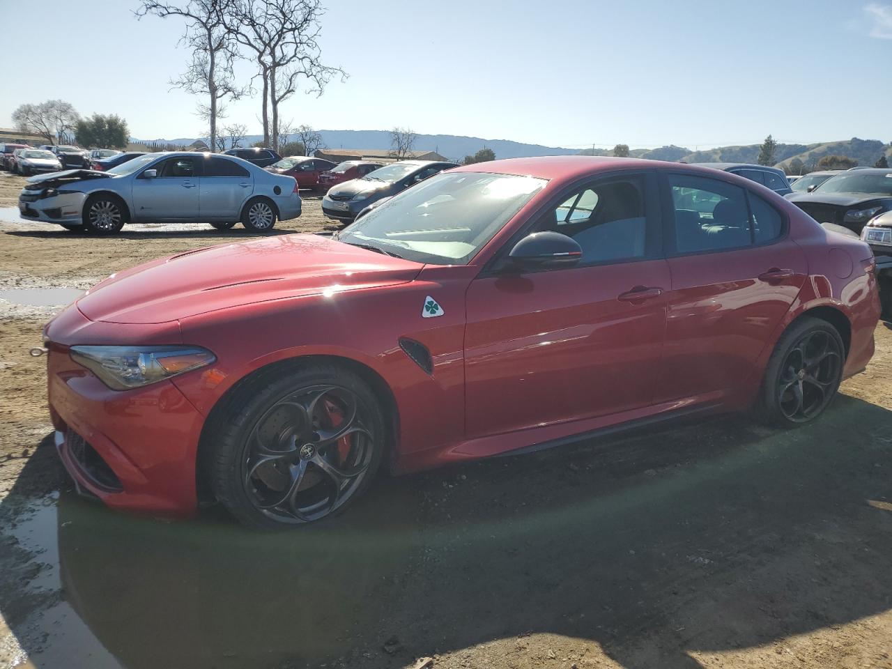ZARFAMEV9P7674755 ALFA ROMEO GIULIA QUA 2023
