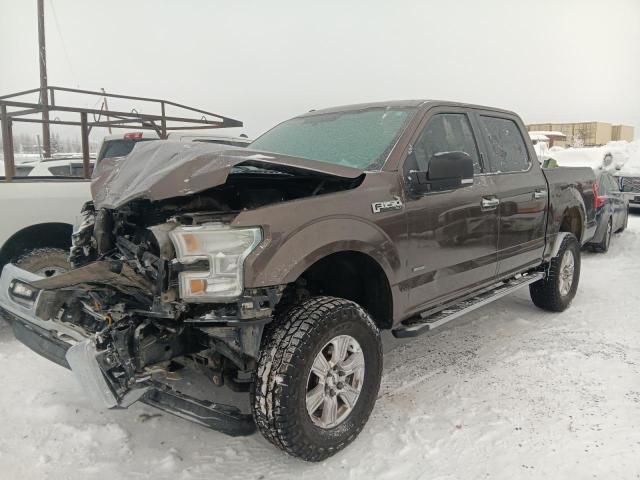 Vin: 1ftew1eg9fkd55679, lot: 41877755, ford f-150 supercrew 2015 img_1