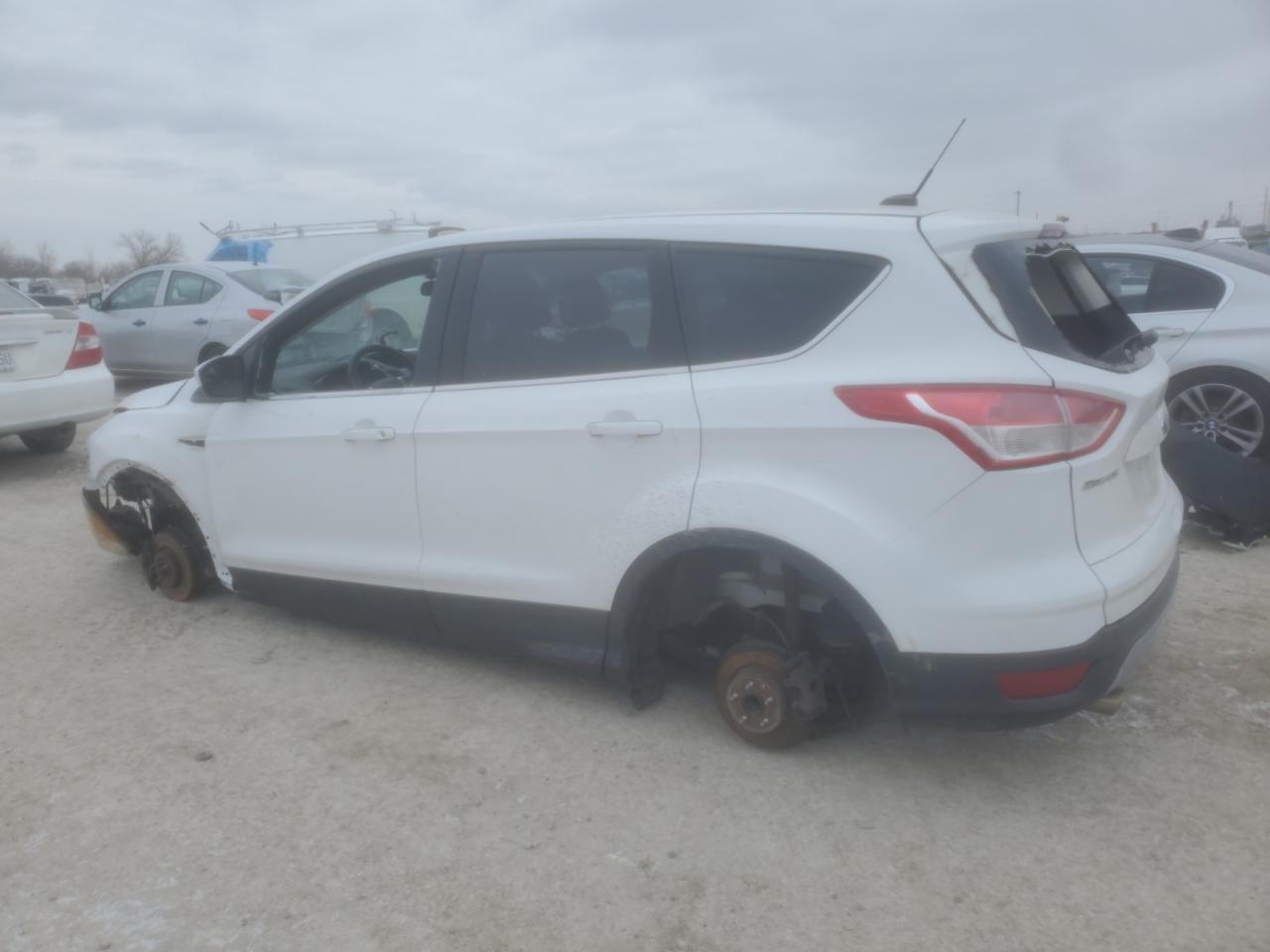 Lot #3139818613 2014 FORD ESCAPE SE