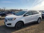 2019 FORD EDGE SEL - 2FMPK3J91KBC28514
