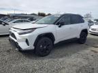 2024 TOYOTA RAV4 XSE - JTME6RFV5RD558718