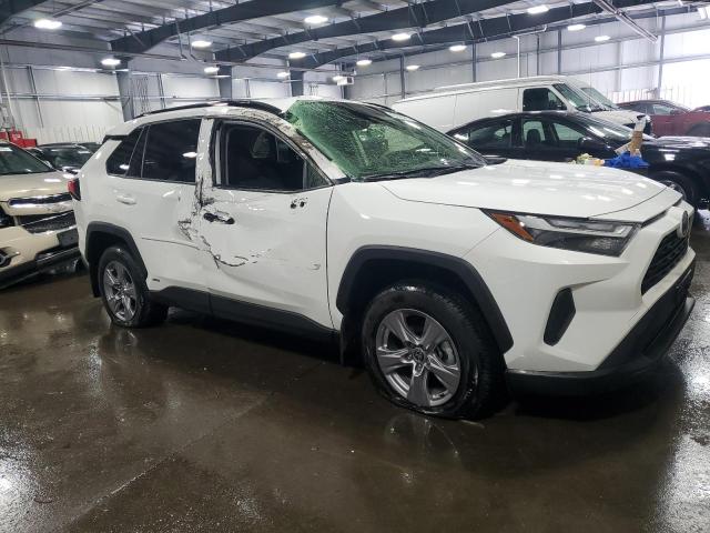2024 TOYOTA RAV4 LE - JTMLWRFV2RD269352