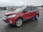2017 FORD ESCAPE SE - 1FMCU9GD8HUC76070