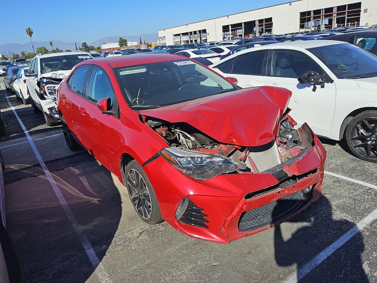 Global Auto Auctions