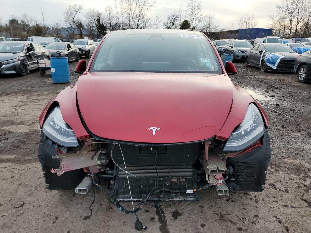 TESLA MODEL Y