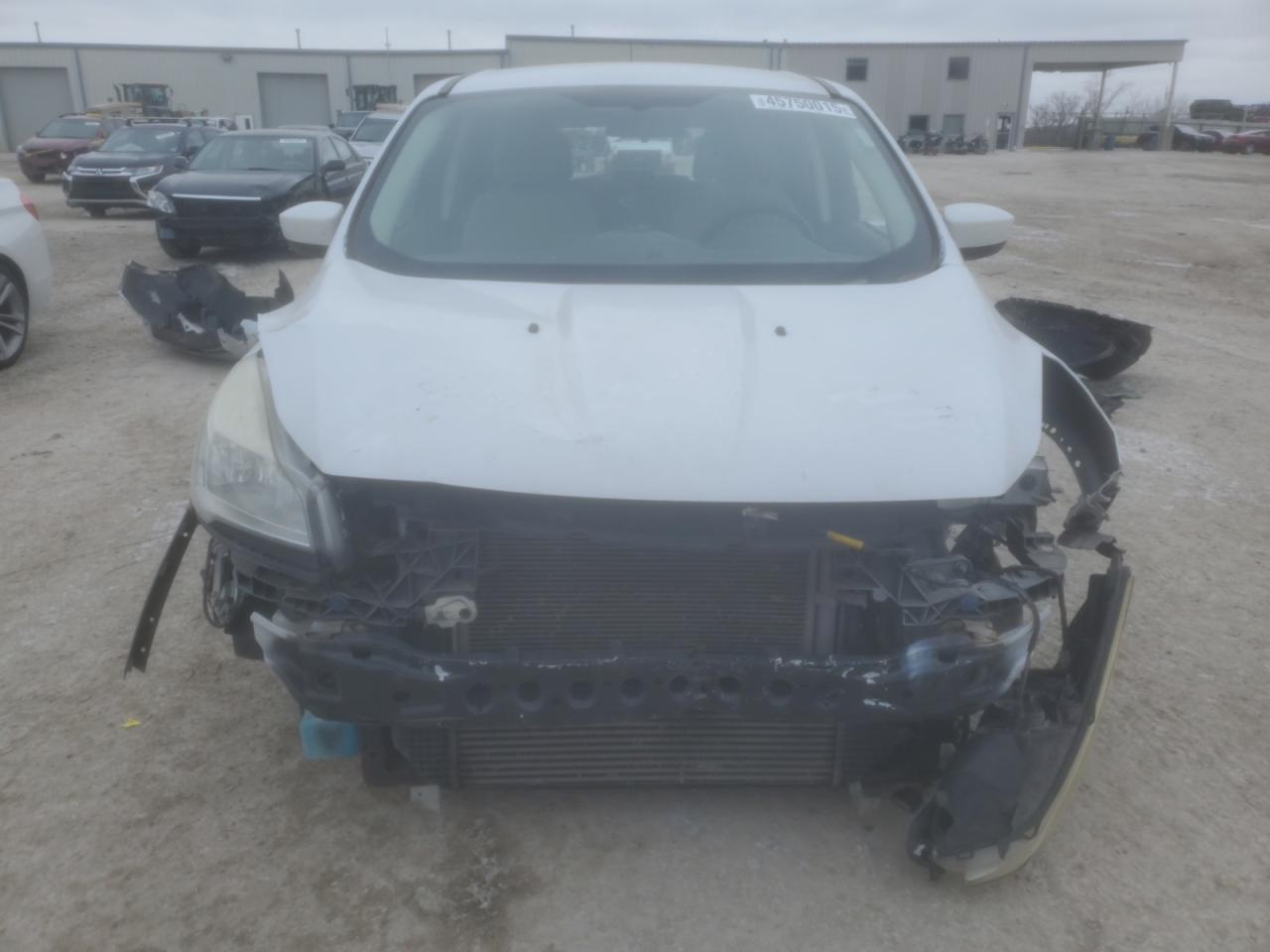 Lot #3139818613 2014 FORD ESCAPE SE