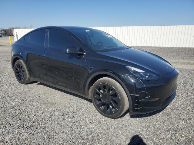 2023 TESLA MODEL Y - 7SAYGDEE5PF892285