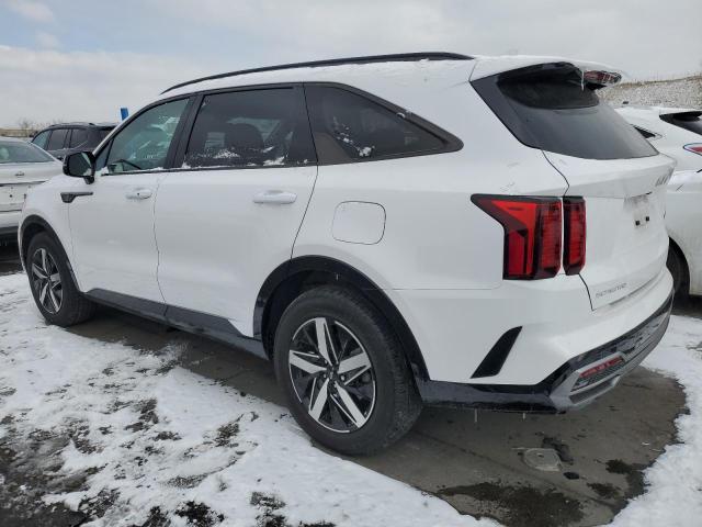 KIA SORENTO S 2023 white  gas 5XYRL4LC9PG216851 photo #3